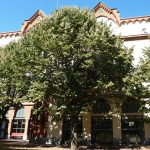 Façana del darrera - Fachada trasera